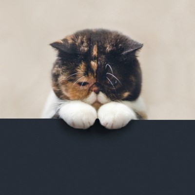 1920 x 1080 HD Wallpapers 2690